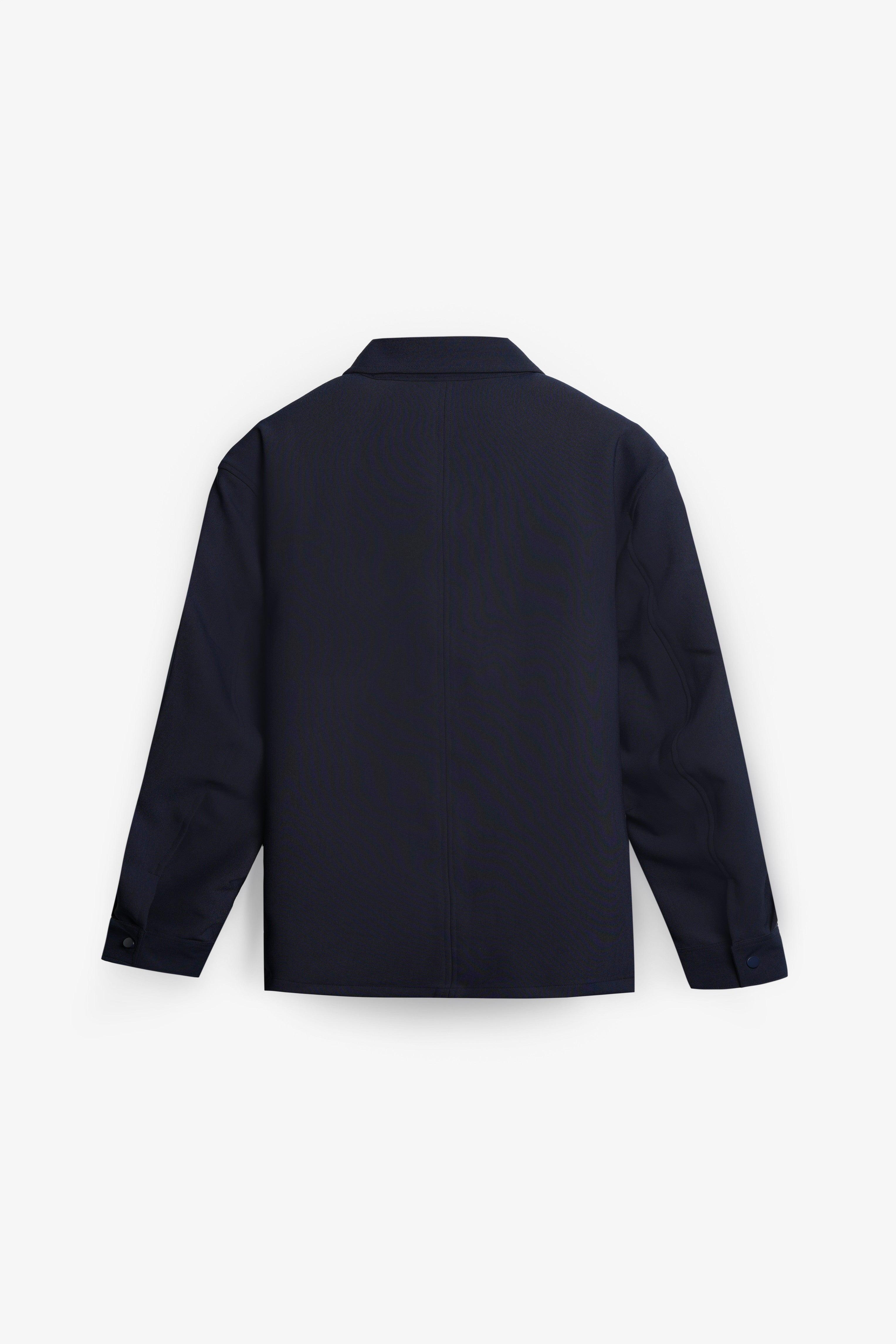 BACK_11_1.jpg